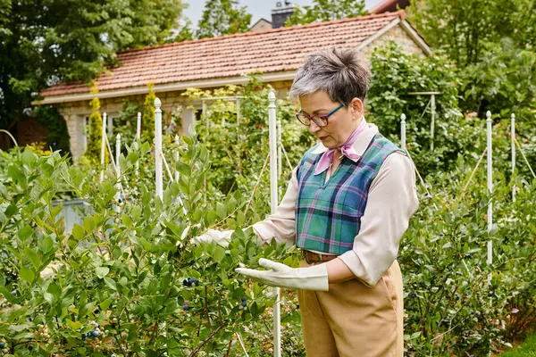 Sophisticated joyful mature woman with short hair in elegant vivid attire taking care of her plants — Stock Photo
