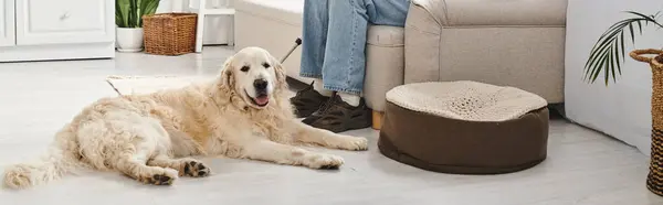 Hombre discapacitado se sienta pacíficamente en un sofá con su leal Labrador retriever a su lado. - foto de stock