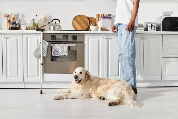 A disabled African American man with myasthenia gravis standing next to his Labrador dog in a cozy kitchen. — Stock Photo