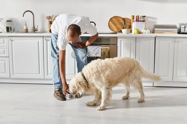An African American man with a disability and his loyal Labrador dog in the kitchen, engaged in cooking together. — Stock Photo