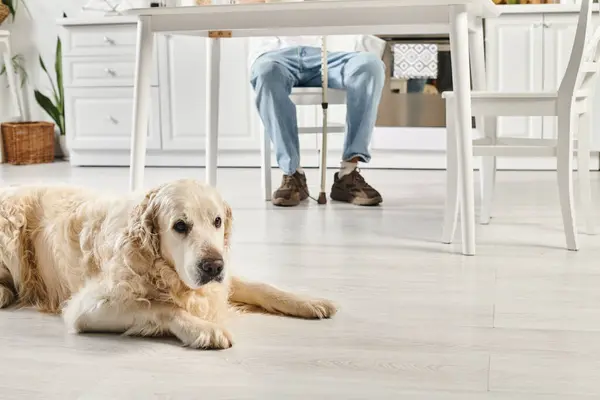 Un afroamericano discapacitado se sienta en una mesa mientras su leal perro Labrador descansa pacíficamente en el suelo junto a él.. - foto de stock