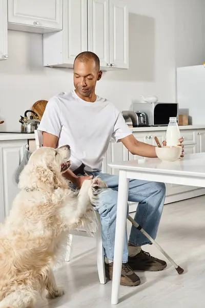 Разнообразная и инклюзивная сцена с афроамериканцем, сидящим за столом с двумя собаками-лабрадорами. — стоковое фото