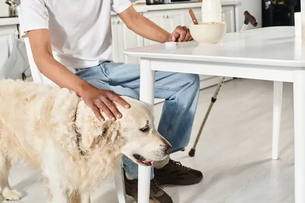 Афроамериканец с инвалидностью сидит за столом со своей верной собакой-лабрадором, демонстрируя разнообразие и включенность. — стоковое фото