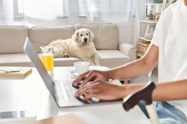 Un Afro-Américain en fauteuil roulant travaille sur un ordinateur portable tandis que son chien du Labrador repose à ses côtés sur un canapé confortable. — Photo de stock