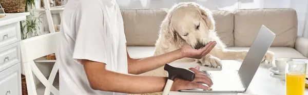 A disabled African American man sits at a table with his laptop, a black Labrador dog on his lap. — Stock Photo