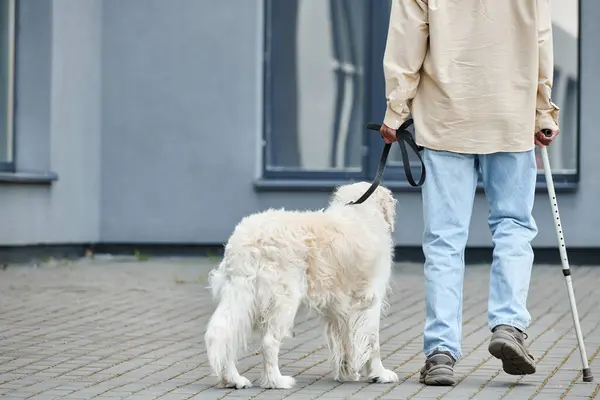 Інвалідний афроамериканський чоловік, що йде собакою Лабрадора на повідку, сприяючи різноманітності та включенню. — стокове фото