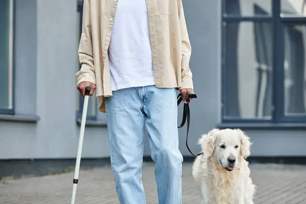 Un uomo afroamericano disabile porta a spasso un cane Labrador al guinzaglio, promuovendo diversità e inclusione. — Foto stock