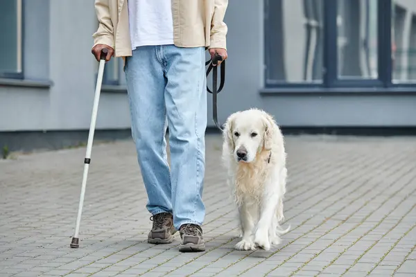Un uomo afroamericano cammina tranquillo con un bastone accanto a un leale cane Labrador bianco. — Foto stock