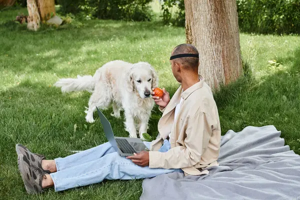 An African American man with myasthenia gravis sits in grass with his laptop while a Labrador dog stays by his side. — Stock Photo