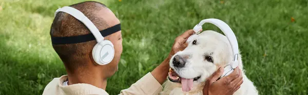 Инвалид афроамериканец с синдромом миастении грависа держит собаку-лабрадора в наушниках, демонстрируя разнообразие и включенность. — стоковое фото