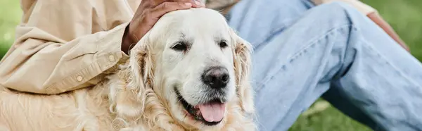 Инвалид афроамериканец нежно ласкает большую и дружелюбную собаку-лабрадора в душевный момент общения.. — стоковое фото