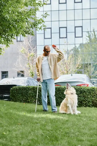 Un uomo afroamericano con miastenia gravis si trova accanto a un cane Labrador su un lussureggiante campo verde, incarnando diversità e inclusione.. — Foto stock