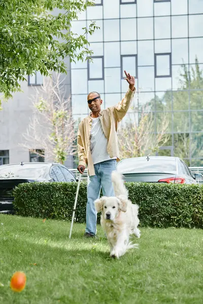 Um homem afro-americano deficiente com miastenia gravis caminha com um cão Labrador em cima de um campo verde vibrante. — Fotografia de Stock
