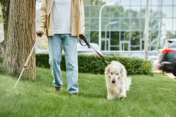 Hombre afroamericano discapacitado paseando a su perro labrador con una correa. - foto de stock