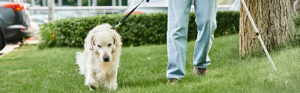 Ein behinderter Afroamerikaner geht mit einem Labrador-Hund spazieren und zeigt Vielfalt und Inklusion in Aktion. — Stockfoto