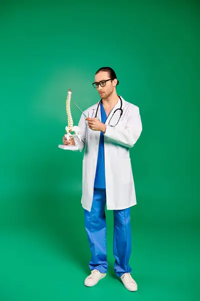 A handsome male doctor in a white coat and blue pants posing on a green backdrop with skeleton model. — Stock Photo