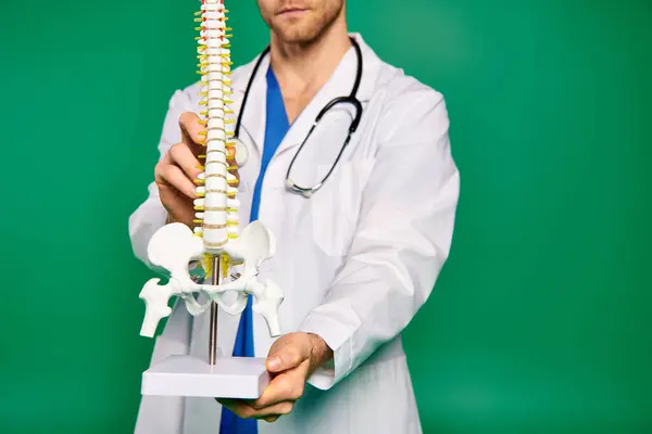 A handsome doctor in a white medical robe delicately holds a human skeleton model. — Stock Photo