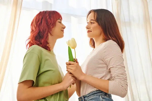 Tender moment of lesbian couple holding tulip together and looking at each other, symbol of spring — Stock Photo