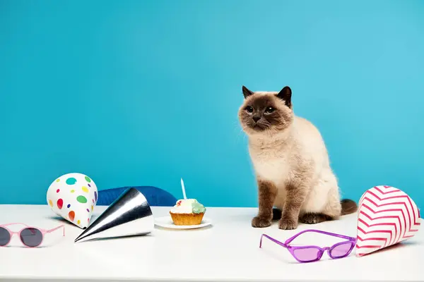 Кіт спокійно просочився біля смачного кексу на столі, демонструючи мирне співіснування між котячим і десертним. — стокове фото