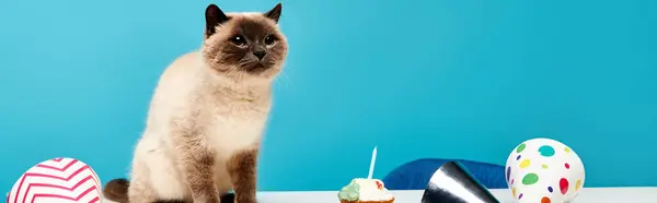 Сіамський кіт сидить витончено поруч з прикрашеним тортом на день народження на столі. — стокове фото