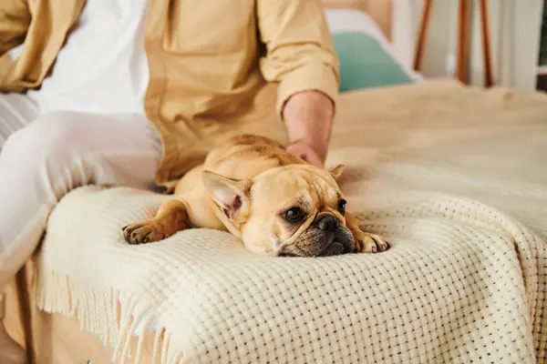 Um homem bonito senta-se pacificamente em uma cama com seu fiel Bulldog francês ao seu lado. — Fotografia de Stock
