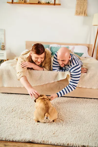 Two men laying on a bed next to a French bulldog, relaxing together. — Stock Photo