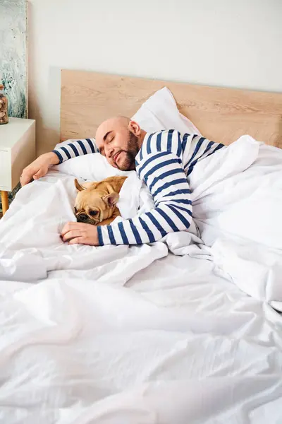 A man and his adorable French Bulldog cuddle together in bed. — Stock Photo