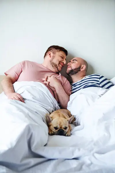 A couple of men lounging in bed with their french bulldog. — Stock Photo