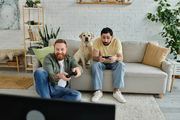 Бородата гомосексуальна пара глибоко зосереджена на грі в відеоіграх, в той час як їх домашня тварина Лабрадор спостерігає в затишній обстановці вітальні. — стокове фото