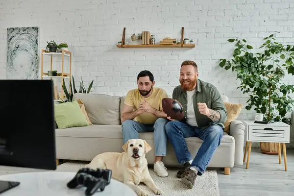 Um homem com barba está sentado em um sofá ao lado de um Labrador, relaxando e assistindo a um jogo de rugby. — Fotografia de Stock