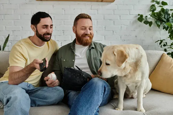 Barbudo gay casal e labrador cão assistir esporte jogo em um sofá em uma sala de estar, desfrutando de qualidade tempo juntos. — Fotografia de Stock