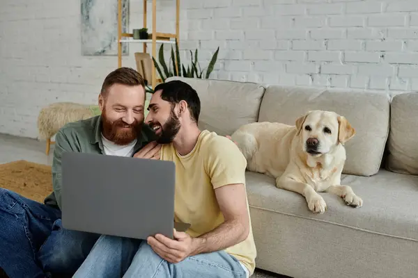 Бородатый мужчина и собака-лабрадор сидят на диване, сосредоточены на экране ноутбука в уютной гостиной. — стоковое фото