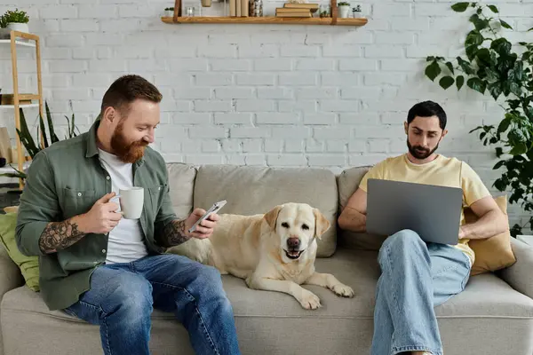 A bearded gay couple sitting on a couch with a labrador dog, working remotely using a laptop in their living room. — Stock Photo