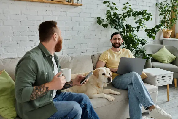 Бородата гей пара сидить на дивані з собакою-лабрадором, працює дистанційно на ноутбуці в затишній вітальні. — стокове фото