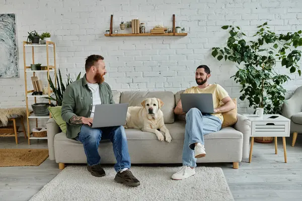 Dos hombres barbudos están trabajando en computadoras portátiles mientras están sentados en un sofá en una acogedora sala de estar con su leal Labrador cerca. - foto de stock