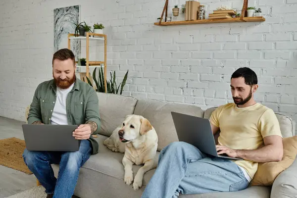 Barbuto gay coppia è lavoro su computer portatili su un accogliente divano mentre il loro labrador cane si rilassa nelle vicinanze in il soggiorno. — Foto stock