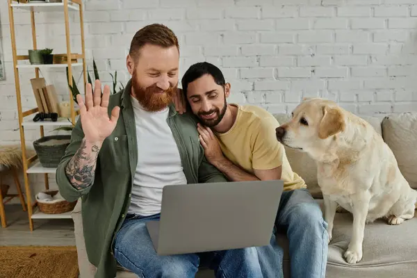 Бородата гей-пара працює дистанційно на ноутбуці, у супроводі собаки-лабрадора, у затишній вітальні. — стокове фото
