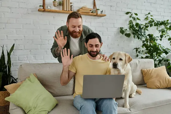 Бородата гей-пара працює дистанційно на ноутбуці з собакою-лабрадором у затишній обстановці вітальні. — стокове фото