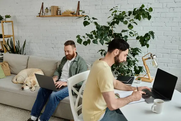 Pareja gay barbuda sentada en un sofá, trabajando en computadoras portátiles, con un perro labrador a su lado en una acogedora sala de estar. - foto de stock