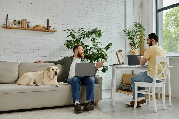 Un hombre gay barbudo se sienta en un sofá con un portátil junto a un perro labrador en una acogedora sala de estar, trabajando a distancia. — Stock Photo