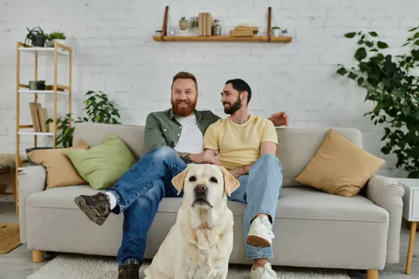 Two men with beards relax on a couch with their Labrador in a cozy living room setting. — Stock Photo