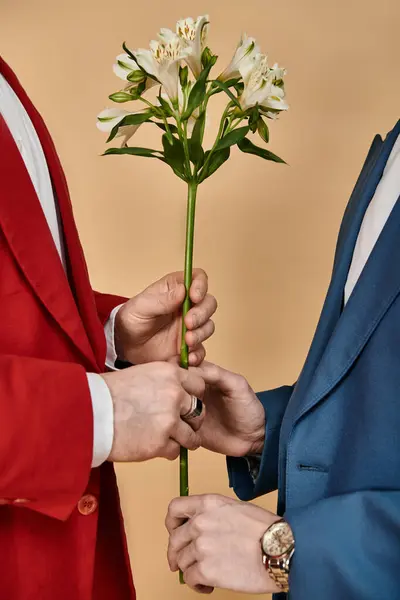 Two men in suits exchange a flower, showcasing their love and affection. — Stock Photo