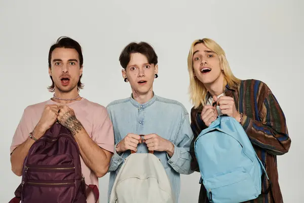 Três jovens estudantes gays ficam na frente de um fundo cinza, segurando mochilas e parecendo surpresos. — Fotografia de Stock