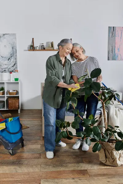 Due donne mature, una coppia lesbica, puliscono insieme il loro appartamento moderno. Stanno sorridendo e guardando una pianta mentre la spolverano. — Foto stock