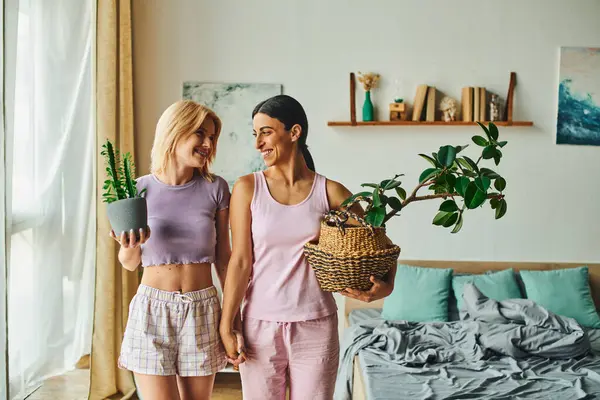 A lesbian couple, one holding a potted cactus, smile and look at each other in their cozy home. — Stock Photo