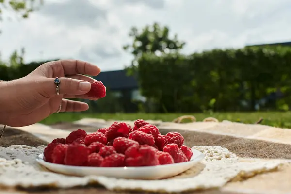 Une jeune femme se détend en été, savourant un pique-nique en pleine nature et de délicieuses framboises. — Photo de stock