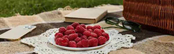 Ein sonniges Sommerpicknick, umgeben von frischen Himbeeren und üppigem Grün. — Stockfoto