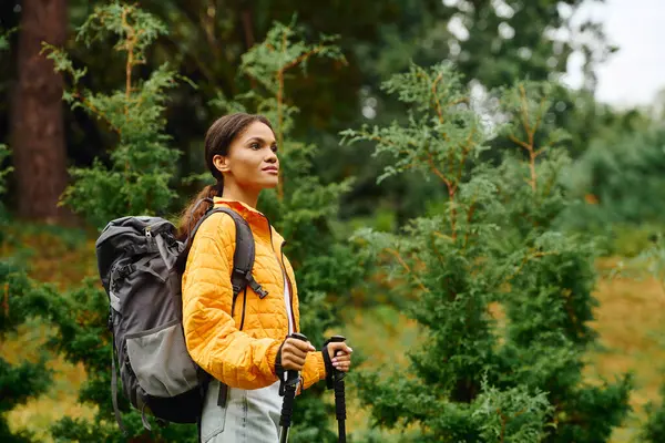 Una joven afroamericana explora un colorido bosque, empapado en la belleza del follaje otoñal. — Stock Photo