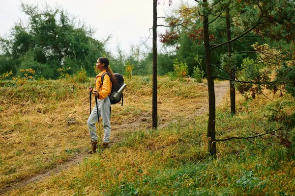 Une jeune femme explore une belle forêt, entourée d'un feuillage automnal vibrant et de la paix de la nature. — Photo de stock