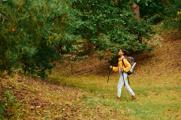 A young woman explores a colorful autumn forest, enjoying nature and the refreshing air around her. — Stock Photo
